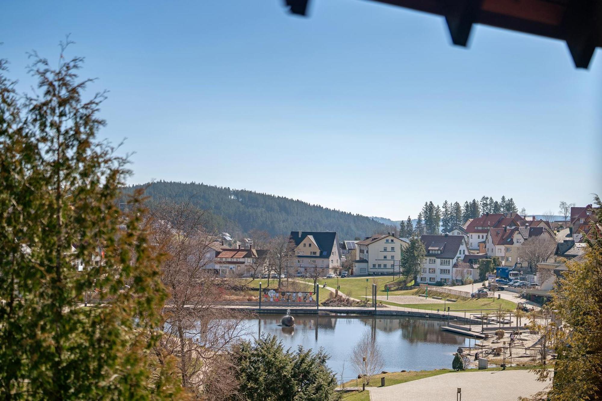 Ferienwohnung Karin Schonach im Schwarzwald Екстер'єр фото